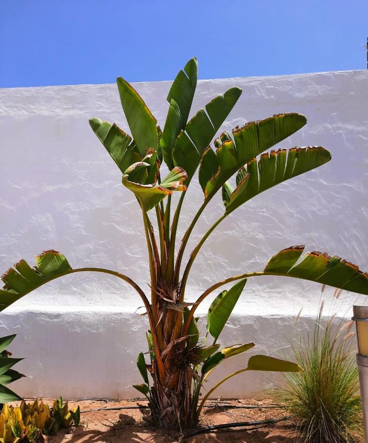 Casa Vivi Fuerteventura Lejlighed Corralejo Eksteriør billede