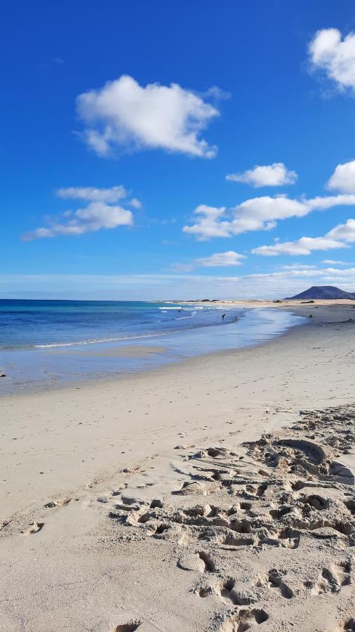 Casa Vivi Fuerteventura Lejlighed Corralejo Eksteriør billede