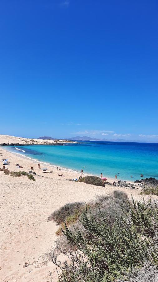 Casa Vivi Fuerteventura Lejlighed Corralejo Eksteriør billede
